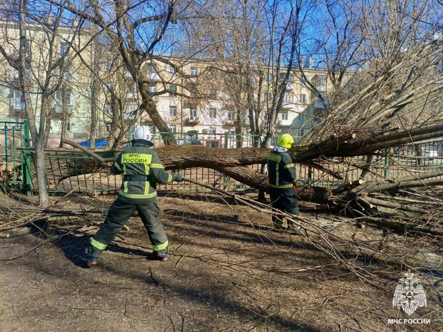 Фото: МЧС Тверской области