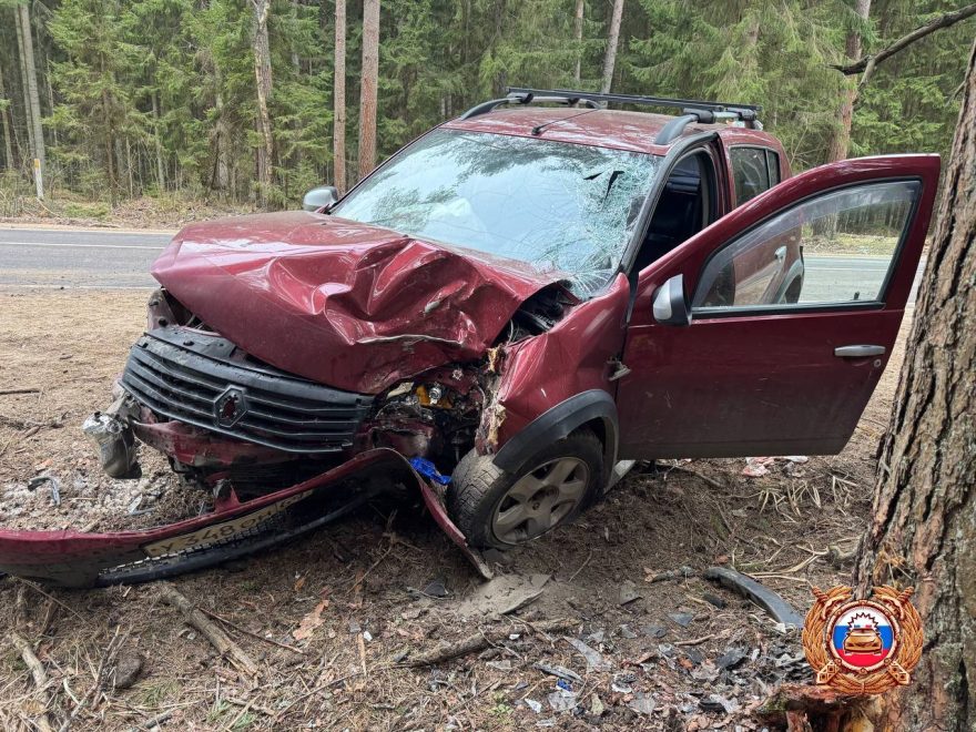 Фото: Госавтоинспекция