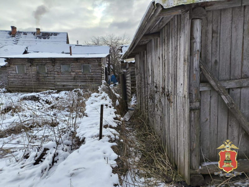 кража, западная двина