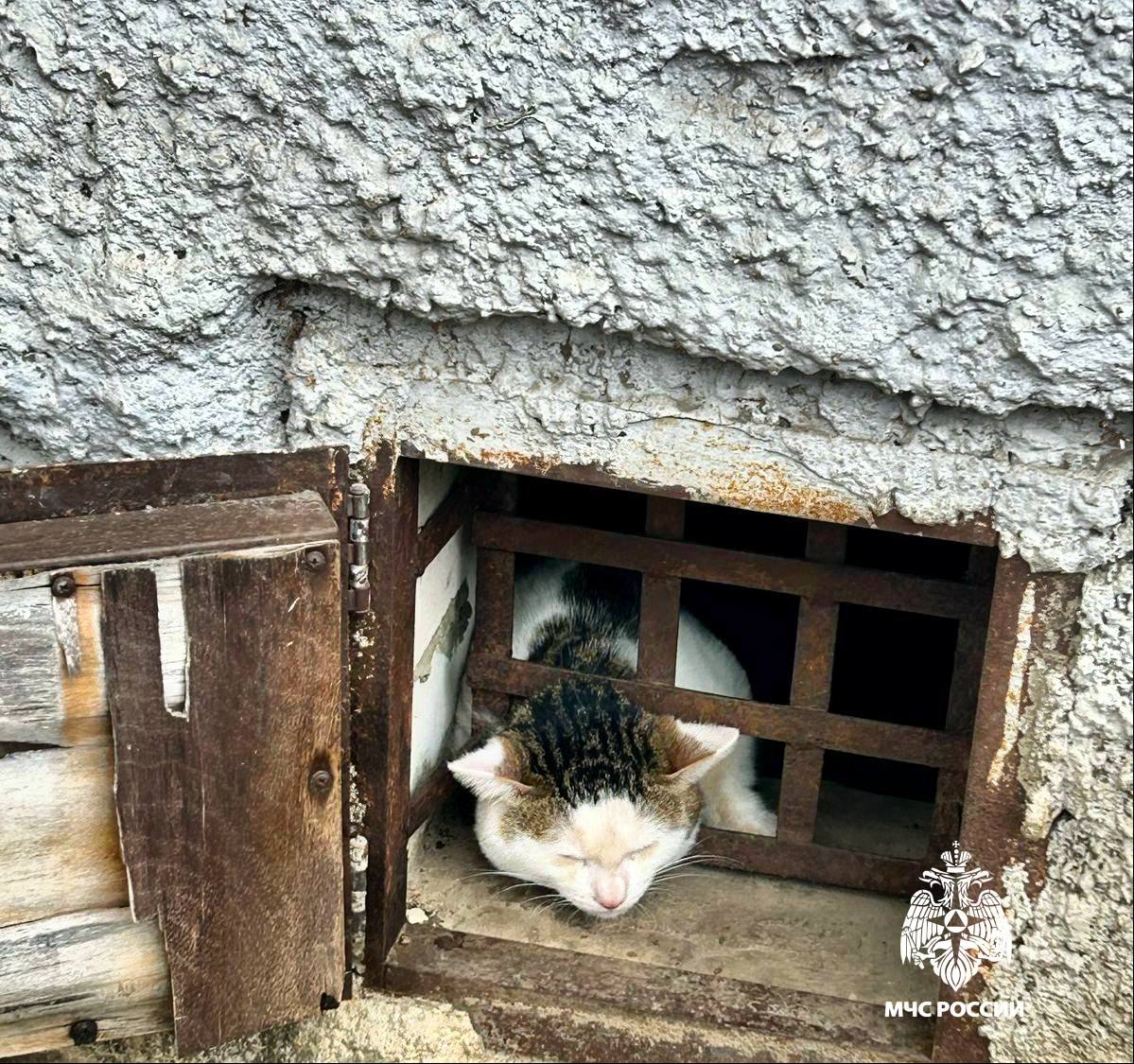 Фото: МЧС