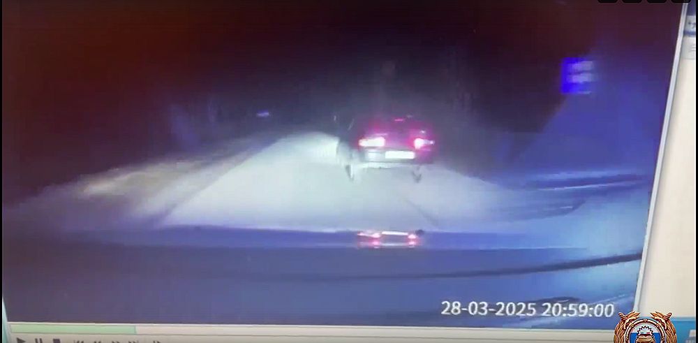 Фото: скрин с видео