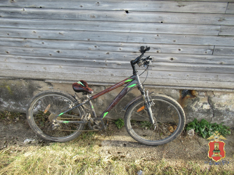 Фото: пресс-служба регионального УМВД