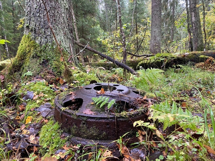 Поисковики