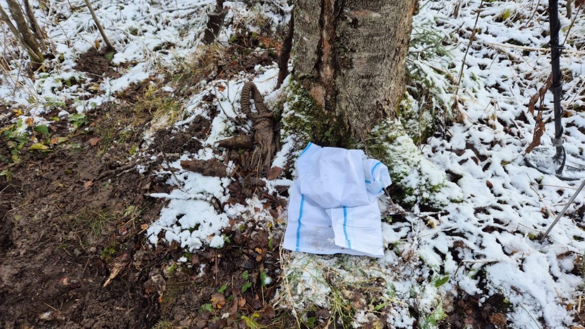 Фото: группа Вконтакте 