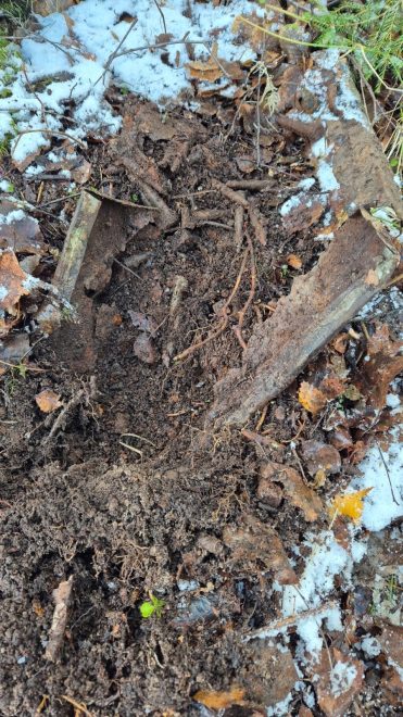 Поисковики