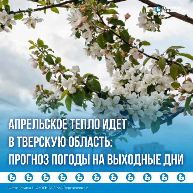 «Весна идет — весне дорогу!»: что с погодой в Тверской области