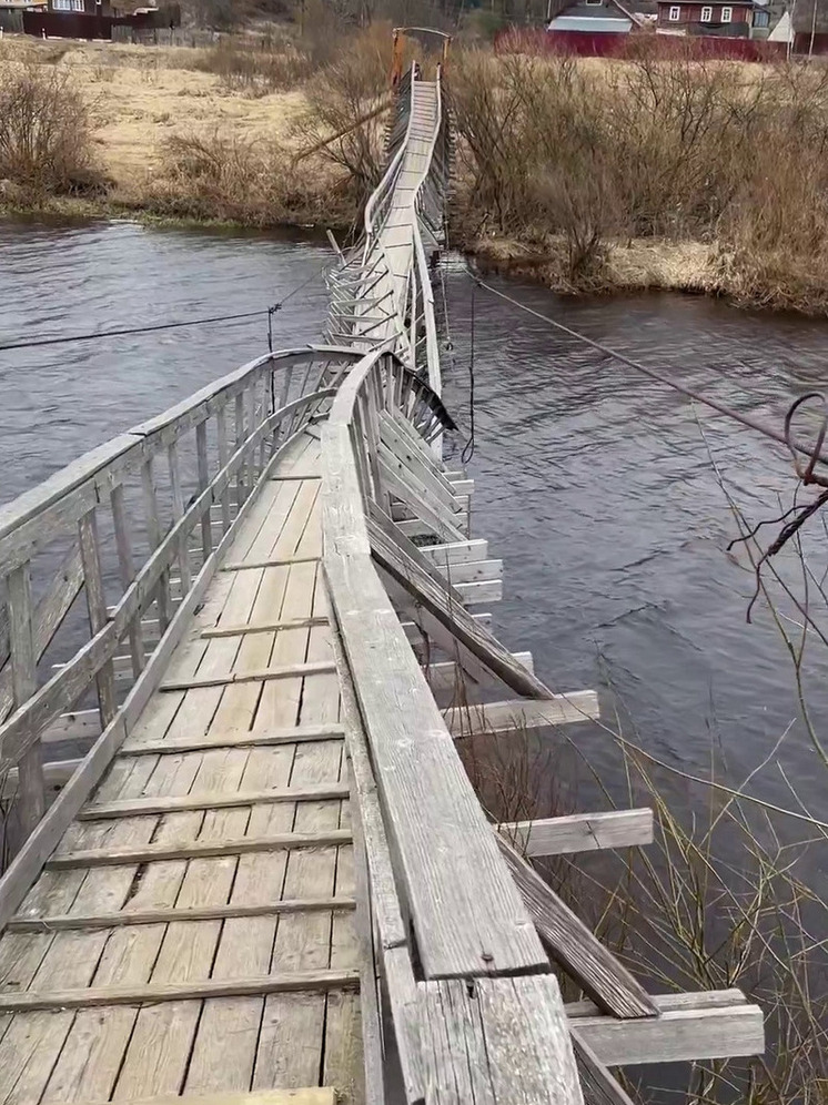 Фото: скрин с видео 