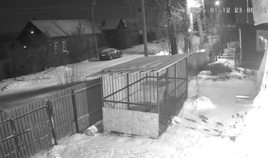 Фото: скрин с видео камеры наблюдения