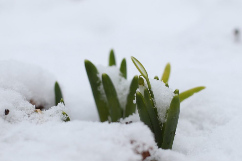 Фото: Мария Кочерова