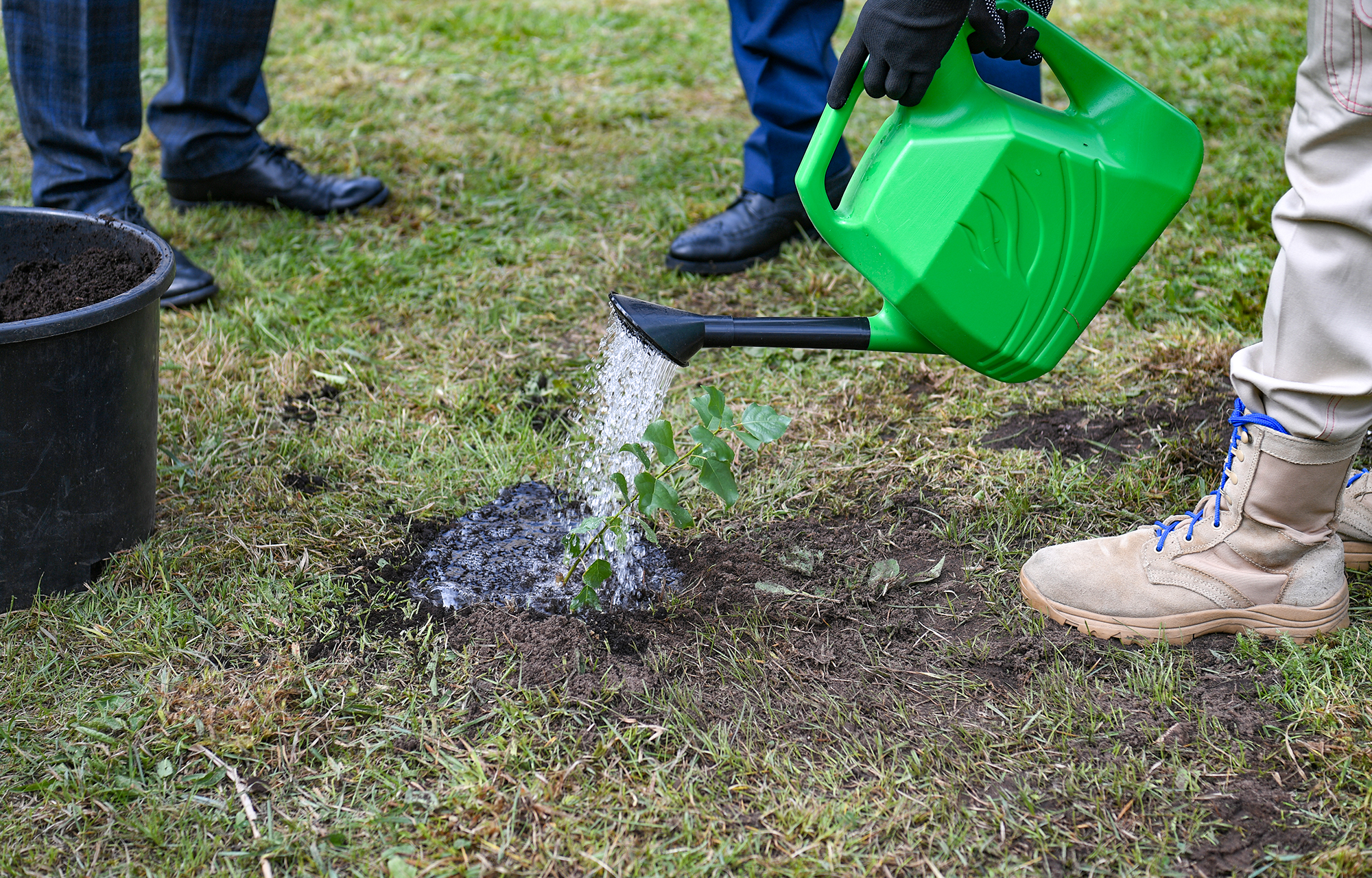 открытие памятника Паши Савельевой
