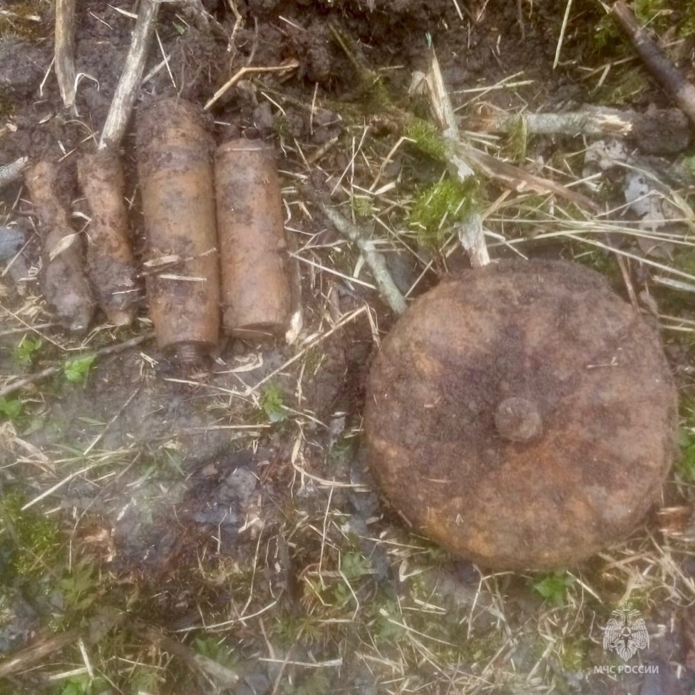 Фото: МЧС России по Тверской области