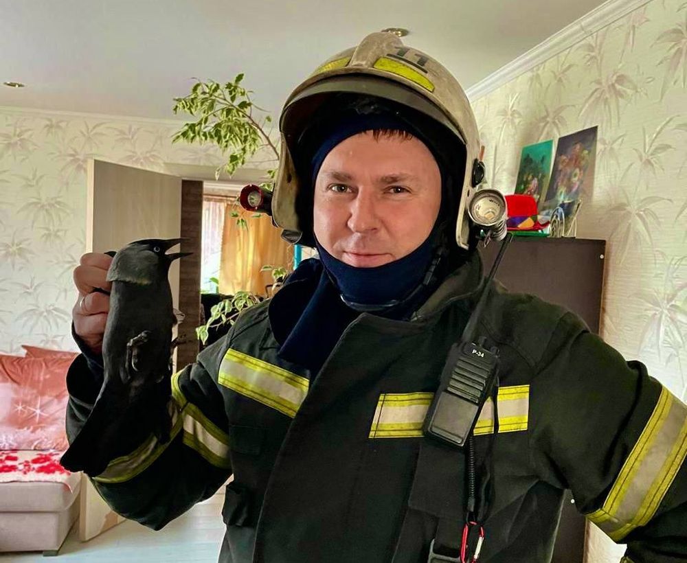 Фото: МЧС России по Тверской области