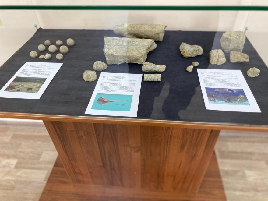 Фото из архива Вышневолоцкого краеведческого музея 