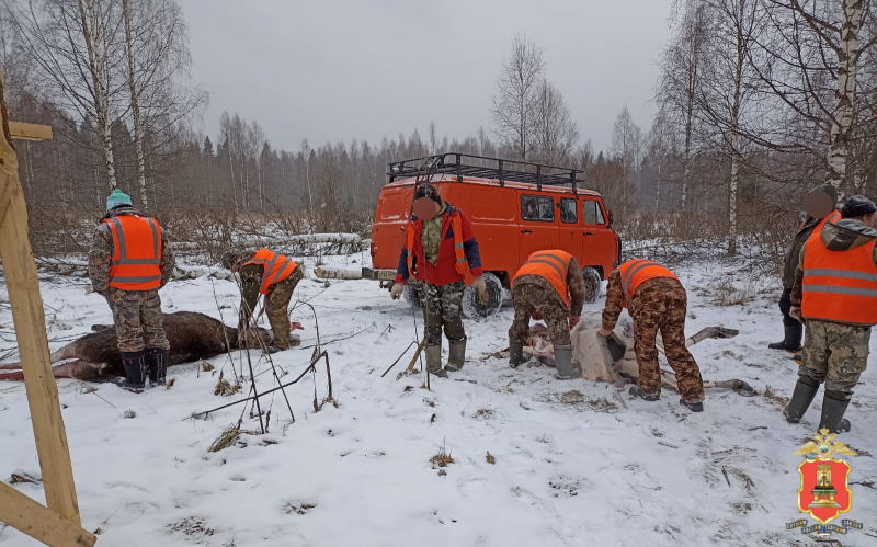 охота но лосей