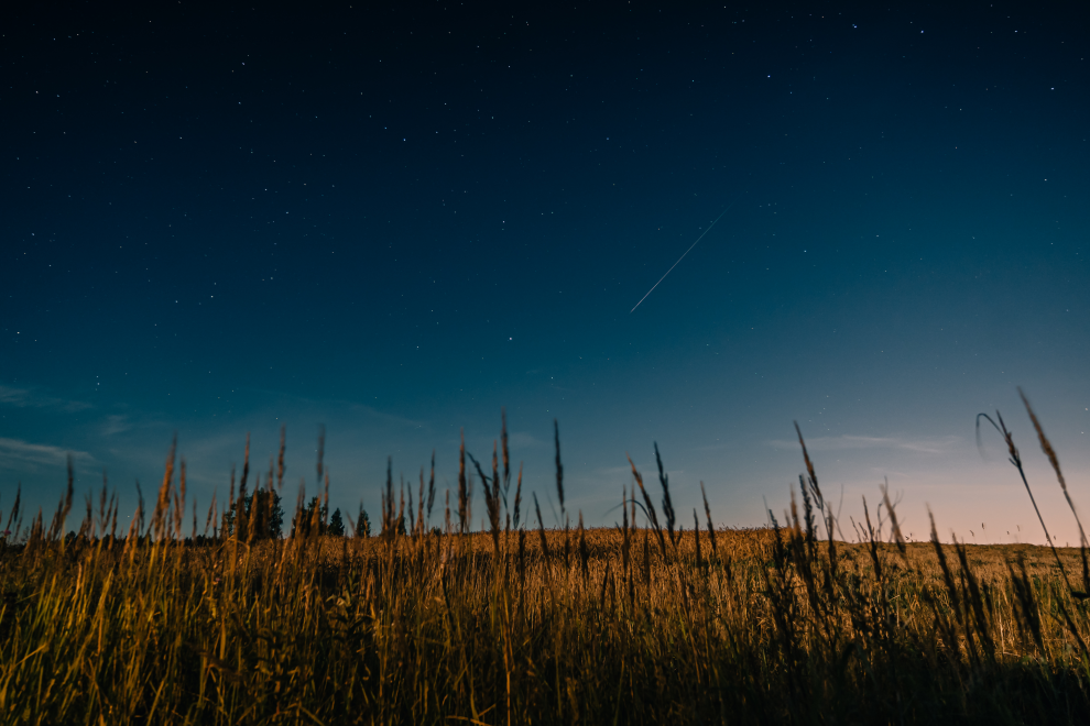 Фото: Максим Школьников/РИА Верхневолжье