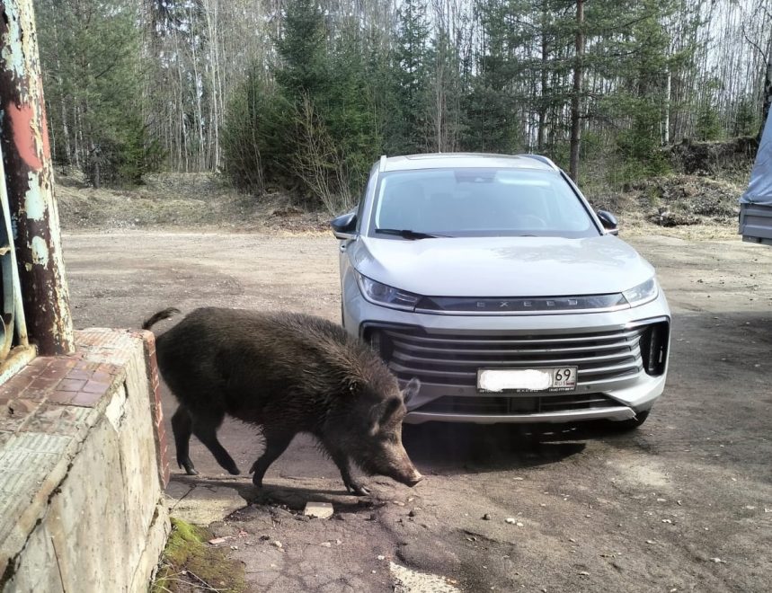 Фото: Елена Иванова/группа ВК 