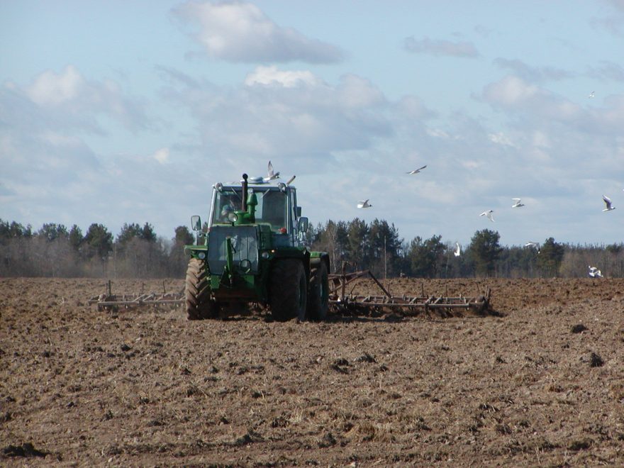 Фото: Архив Тверской жизни/РИА Верхневолжье