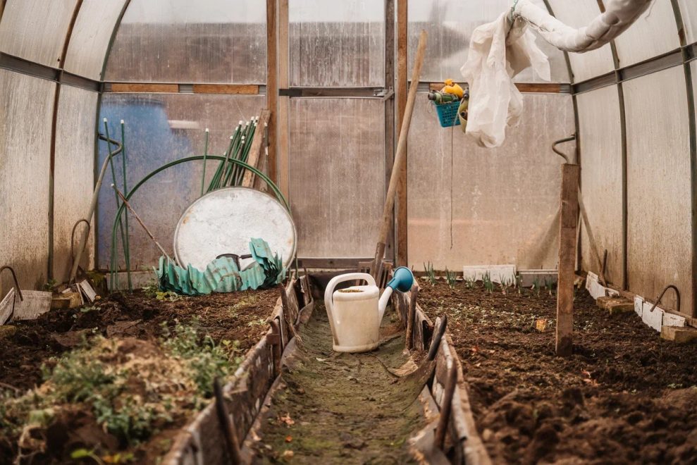 Фото: Леонид Смирнов/РИА Верхневолжье
