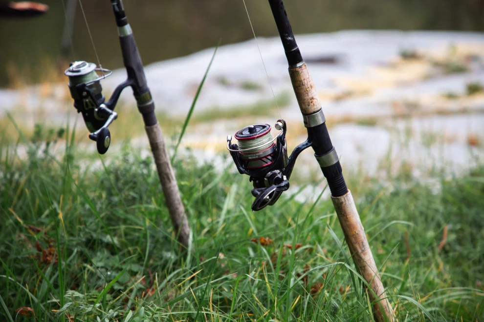 Фото: Кристина Белякова/РИА Верхневолжье