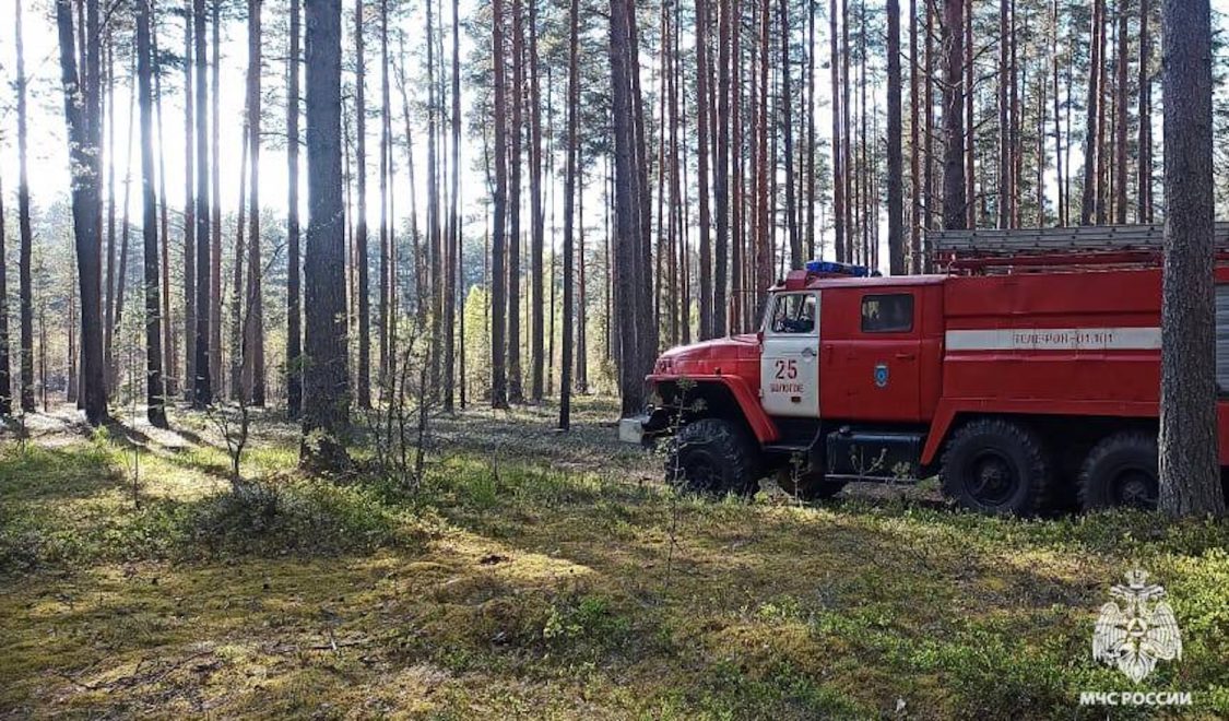Фото: МЧС Тверской области