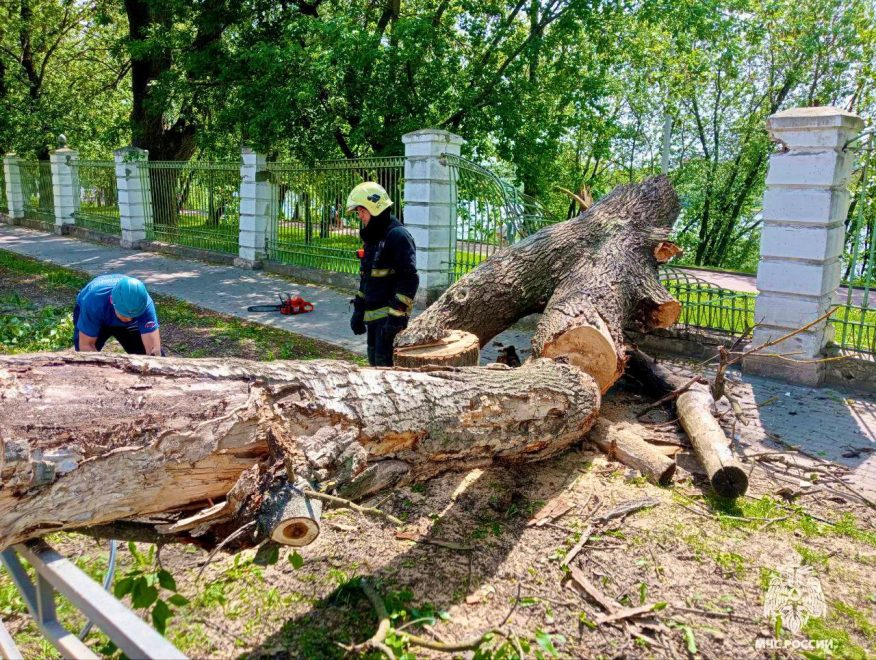 Фото: ГУ МЧС России по Тверской области