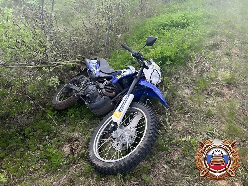 Фото: УМВД России по Тверской области