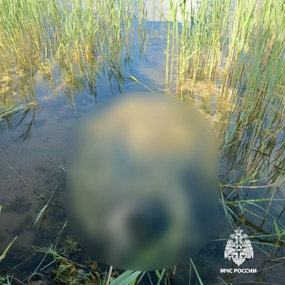 Фото: МЧС России по Тверской области