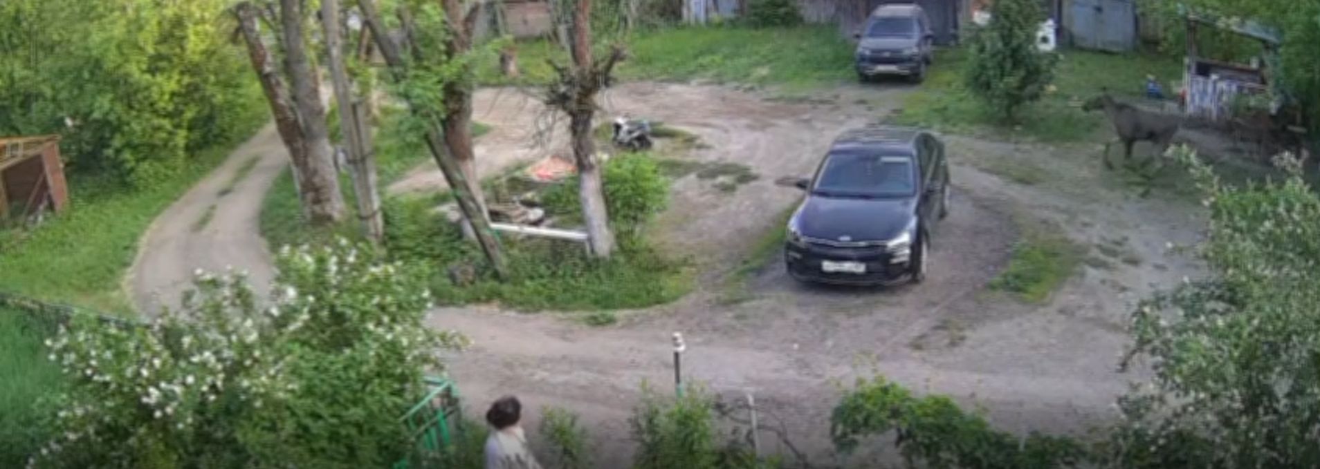 Фото: скрин с видео