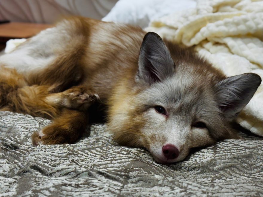 Фото: Кристина Васильева