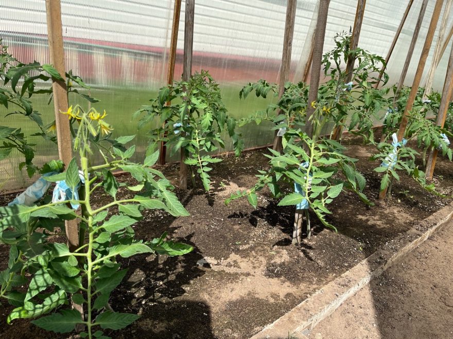 фото: Галина Андреенко/РИА Верхневолжье