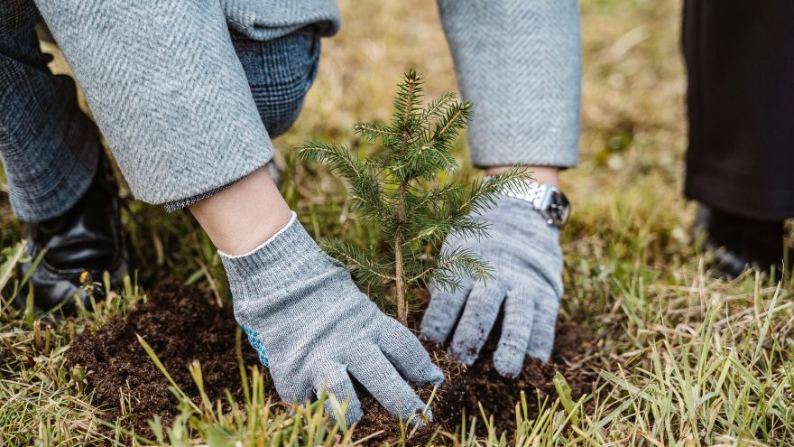 Смирнов Леонид 01289