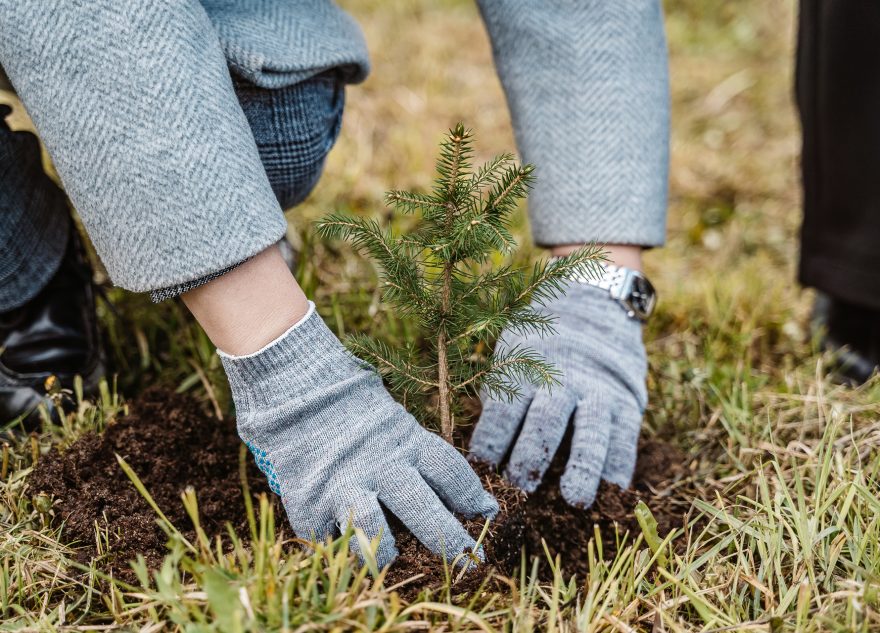 Смирнов Леонид 01289