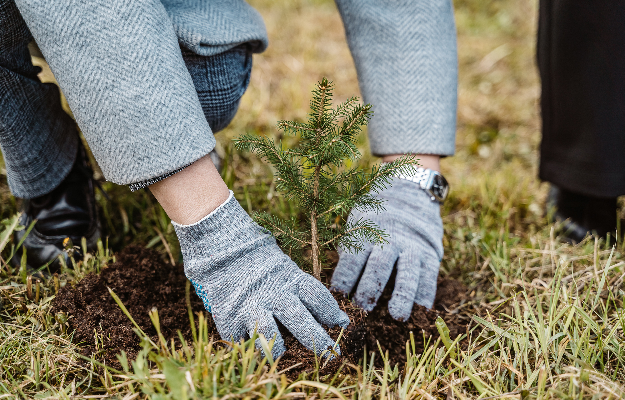 Фото: Леонид Смирнов/РИА Верхневолжье