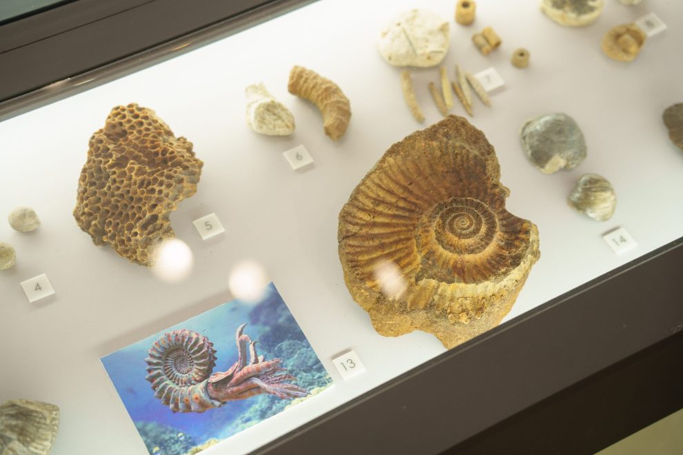 Удомельский краеведческий музей (4)