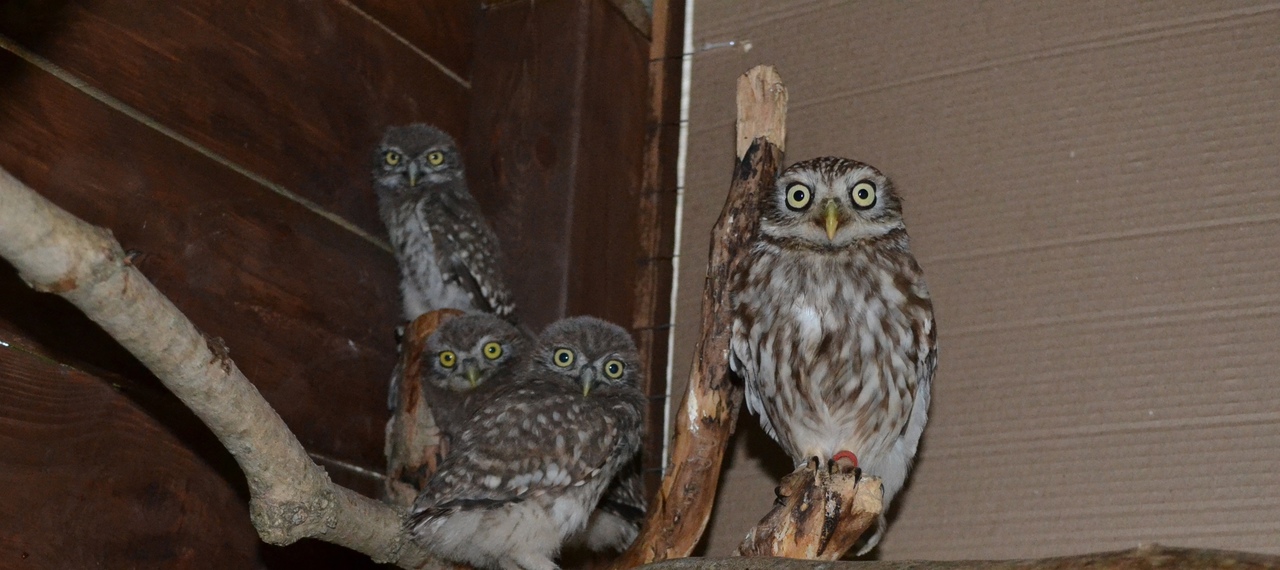 Фото Марии Маркиной