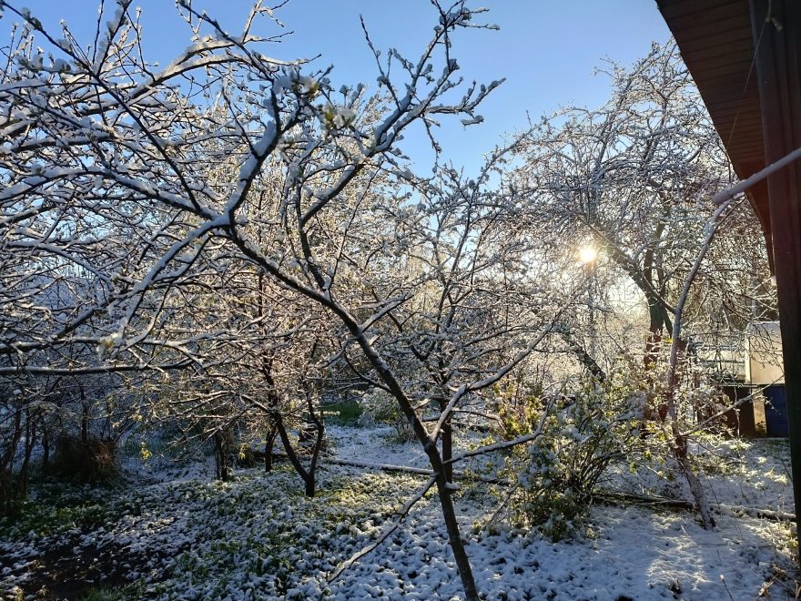 Фото: Олеся Лесная\группа 
