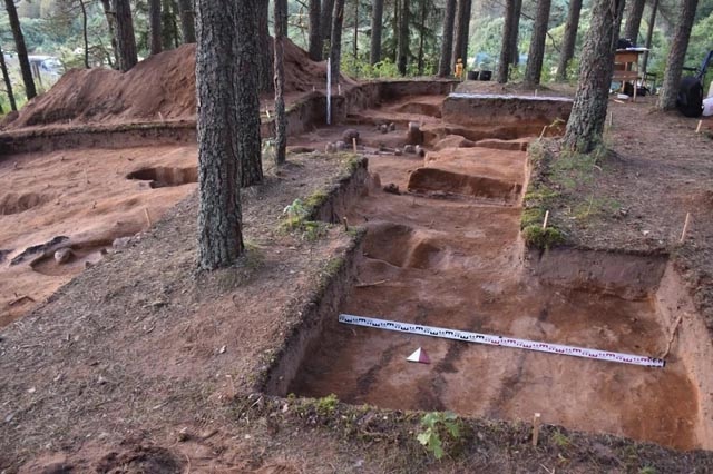 Фото: соцсети ИИМК РАН. На раскопках около деревни Селяне в прошлом году.