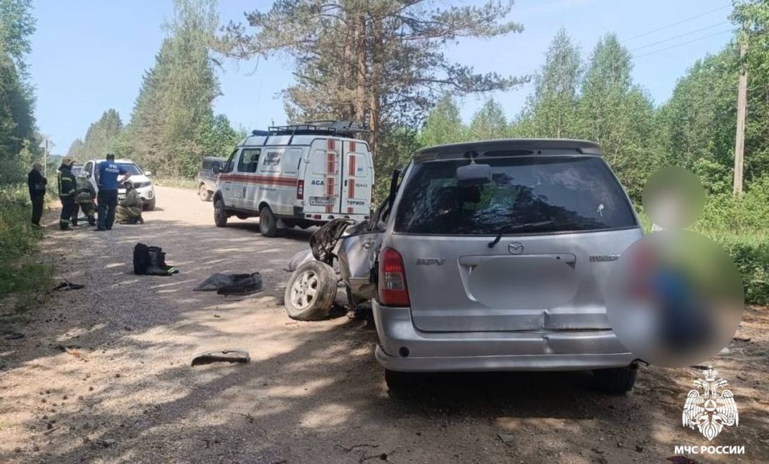 Фото: МЧС Тверской области