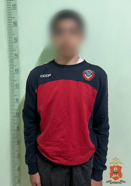 хулиган, конаковский округ