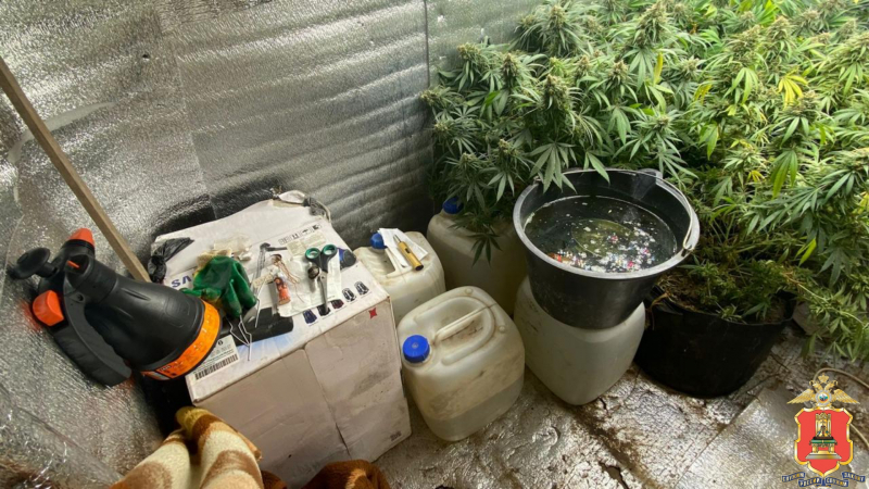 наркоферма, зубцовский округ