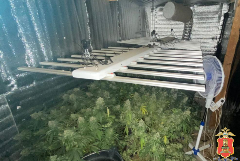 наркоферма, зубцовский округ