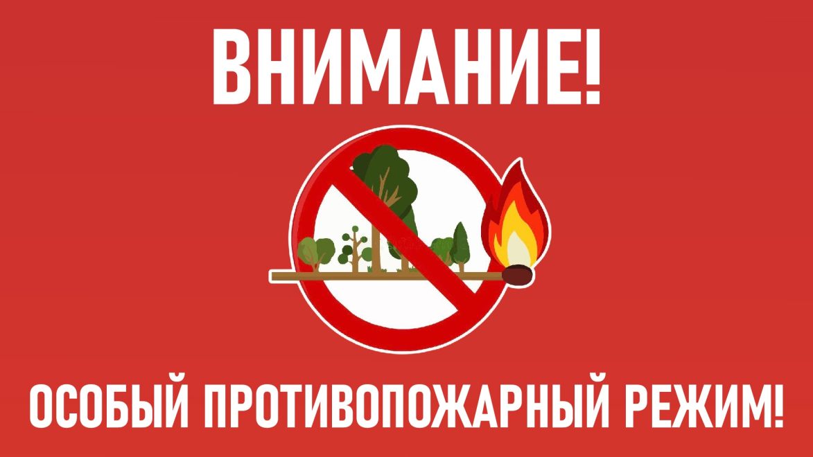 Фото: Правительство Тверской области