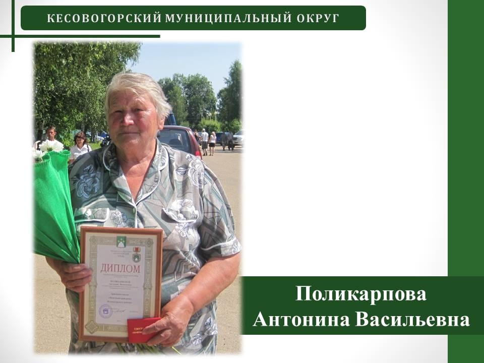 Фото: Кесовогорский муниципальный округ