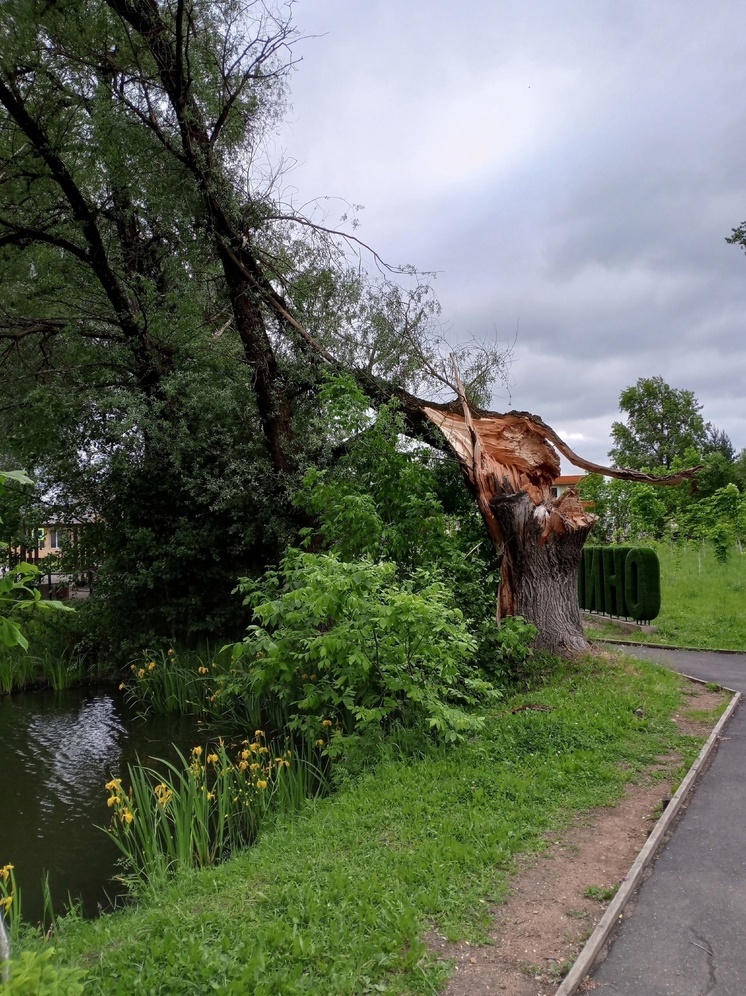 Фото: Оленино - наш дом