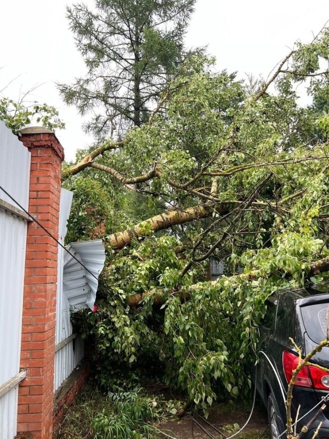Фото: Екатерина Царева