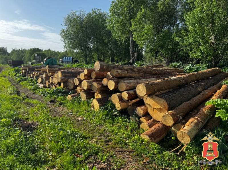 Фото: Пресс-служба УМВД России по Тверской области