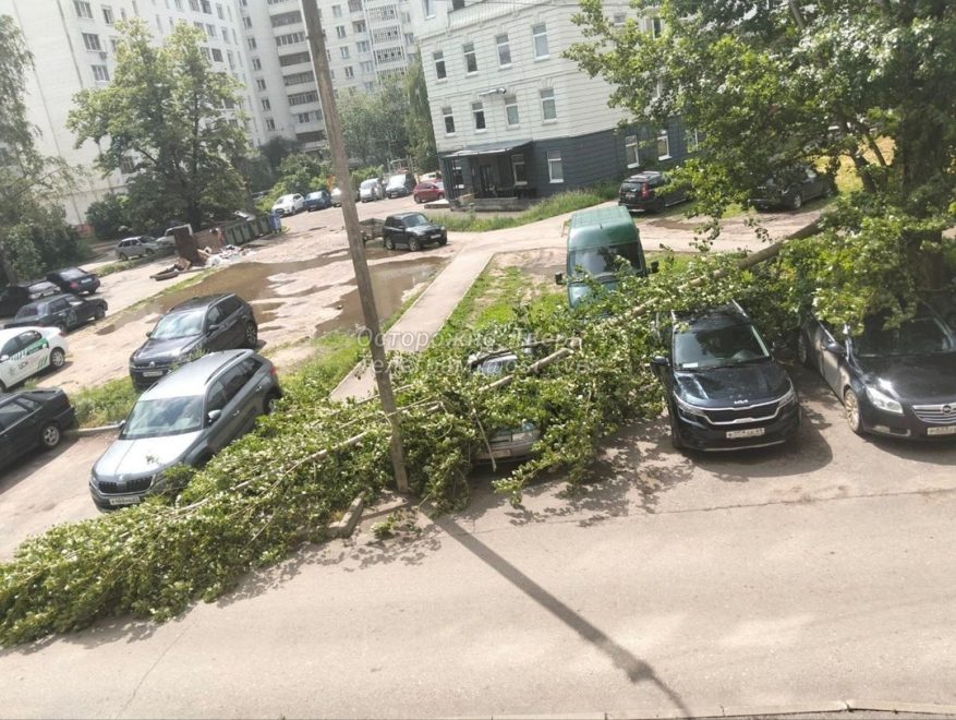 Фото: группа ВК 