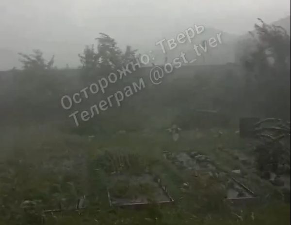 Фото: скрин с видео