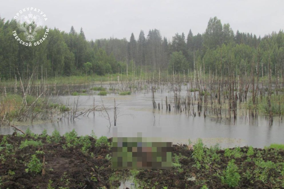 Фото: прокуратура Тверской области