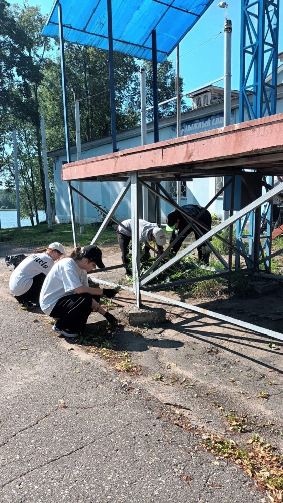 уборка, бологое